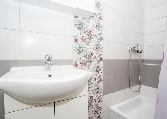 Makaus 2832 Супетарска-Драга